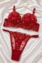 Red Heart Lace Supported Bra Set - 2