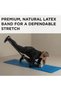 Resistance Bands, Physio Bands - 4