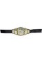 Championship Belt - 2