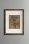 Botanical Tree Illustration on White Background - Vintage Patterned Painting - Fine Model