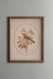 Floral Branch and Bird in Oval Frame Motif - Vintage Patterned Painting - Fine Model