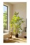 Bamboo 90cm (2.95ft) Artificial Tree with Pot | Floor Plant - 2