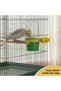 كوب نظيف للحيوانات الأليفة من شركة Pet Company، كوب طعام وماء للطيور، متوسط الحجم، الألوان قد تختلف - 8