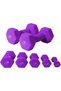 SKY LAND Classical Dumbbells Hand Weights Set of 2 - Vinyl Coated Exercise & Fitness Dumbbell for Home Gym Equipment Workouts Strength Training, 4Kg X 2 - Purple, EM-9219-4 - 5