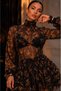 Zr Model Layered Ruffle Transparent Mini Dress