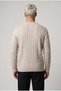Men's Stone Hair Knit Sand Beige Zero Crew Neck Regular Knitwear Wool Blend Thick Acrylic Sweater - 3