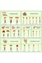 Makeup Brushes Set Professional for Foundation Eyeshadow, 25pcs T135 - 5