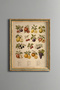 Fruits - Vintage Patterned Painting - Fine Model