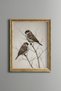 Two Sparrows on a Branch - Vintage Patterned Painting - Fine Model