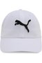 قبعة ESS للرجال من PUMA - 2