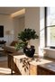 Stabilized decorative tree - 2