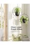 Planter Oval | 1 - 5