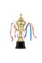 كأس متعدد الرياضات للجنسين من _ JY-1042-2 - 2