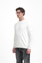 Polo Collar Buttoned Sweater with Striped Details - 4