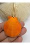 Orange Pectim Shell Agate Natural Stone Necklace - 2
