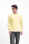 Polo Collar Buttoned Sweater with Striped Details - 3
