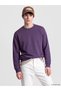 Özmarka New Season Purple Crew Neck Men's Thick Sweatshirt
