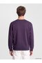 Özmarka New Season Purple Crew Neck Men's Thick Sweatshirt - 4