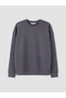 Özmarka New Season Gray Crew Neck Men's Sweatshirt