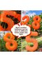 Safari Animals Concept 1 Year Old Circus Balloon Set 23 Pieces Animal Balloon with Hat Birthday Set Lion Giraffe Frog Koala Bear Raccoon Balloon - 7