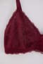 Burgundy Single Lace Wire Free Plain Unlined Bralette Bra Thmaw26Su00000 - 2