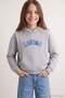Gray Melange Girls' Stitch Licensed Hooded Sweatshirt Tkdaw27Pt00033 - 4