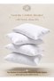 Pack of 4 Pressed Pillow - 750grams , Soft  Microfiber Fabric , 50 x 70 cm - 7