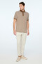 Men's Light Brown Trendy Fish Back Striped Polo Collar Dynamic Fit Tshirt - 4