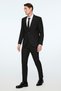 Men's Black Polyviscon Basic Plain Slim Fit Pointed Collar Suit - 4