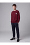 Peak New Season Burgundy Crew Neck Boys' T-Shirt - 2