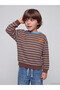 Ozmarka New Season Brown Boys' Striped Thick Sweatshirt