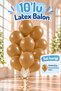 12 Inch Caramel Brown 10 Balloons - 2