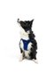 Air-Mesh Small and Medium Breed Cat and Dog Chest Harness - Soft, Breathable , Durable Navy Blue - 7