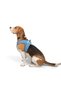 Air-mesh small to medium breed cat dog chest harness soft, Breathable, durable blue - 9