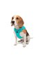 Air-Mesh Small and Medium Breed Cat Dog Harness Soft,Breathable, Durable Turquoise - 8