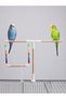 New Type Luxury Smart Feeder, and Playpen - 2