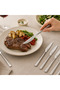 Flame 6-Piece Dining Knife Set Platinum - 2