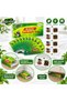 Cockroach Traps Indoor, 10 Pack Roach Traps with Strong Food Bait, Sticky Cockroach Killer Traps for Home, Kitchen, Bathroom & Pantry, Indoor Pest Control for Cockroach Infestation - 2