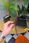 Vintage Hook Genuine Leather Men's Wallet with Clip – 10+ Card Capacity Magnetic Design - 7