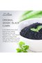 Authentic Clarifying Beldi Soap - Traditional Moroccan Body Soap - Black Seed Oil Soap - Exfoliating Olive Oil Soap Made With Eucalyptus and Castor & Coconut Oils 8.5 oz - 2