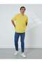 Polo T-shirt - 5