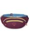 Daylite Waist Pack - 5