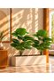 Artificial Plain Monstera Plant 75 cm – 18 Leaves – Indoor & Outdoor – Plant Only, No Pot - 2