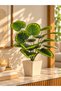 Artificial Lines Monstera Plant 75 cm – 18 Leaves – Indoor & Outdoor – Plant Only, No Pot - 5