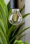 مصباح LED خيطي قابل للتعتيم بقوة 8.5 واط موفر للطاقة - 5