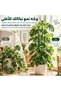 30 قطعة من دعامات النباتات القابلة للتكديس، دعامات نباتات مونستيرا قابلة للتركيب، أعمدة تسلق داخلية مع مشبك - 4