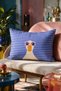 Rectangular Cushion Cover with Animal Figures and Glasses Design 50X30 cm Support Cover - 2
