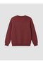 Ozmarka New Season Burgundy 2-Piece Printed Thick Boys' Sweatshirt - 8