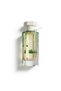 عطر كورال بلوم من ريف 100 مل - 2