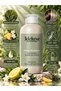Detox Revitalizing Shampoo for All Hair Types with Mediterranean Herbs 250 ml - 2